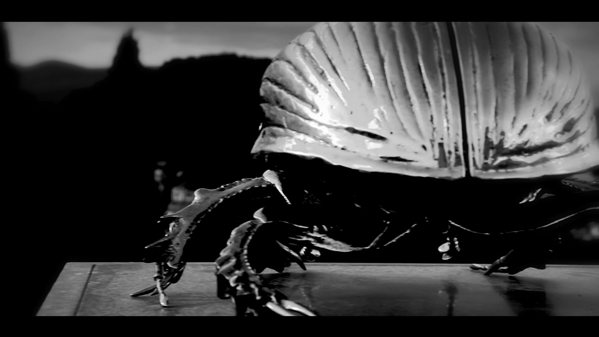 Among Spiritual Guards - Jan Fabre